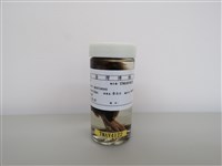 藏品(麻雀)的圖片